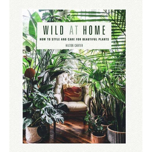 Wild at Home: How to style and care for beautiful plants
