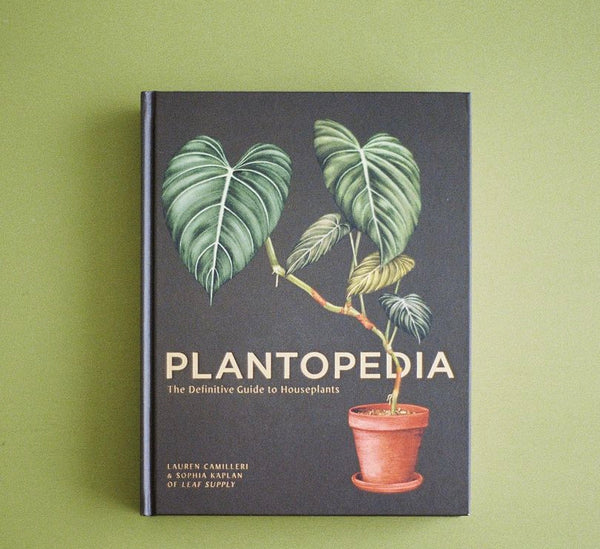 Plantopedia-The Definitive Guide to Houseplants